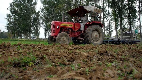 Government-controlled procurement can distort cropping patterns and encourage the excessive cultivation of carbohydrate-heavy staples such as wheat and rice. Meanwhile, there is a rising demand for affordable protein-rich foods and vegetables, emphasizing the need for expanded acreage and improved cold chain infrastructure to preserve perishable agricultural products.