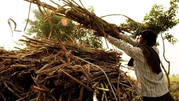 The significance of the annual southwest monsoon cannot be overstated for India's agricultural sector. Despite its gradually declining contribution to the economy, agriculture continues to sustain a significant portion of the country's population.